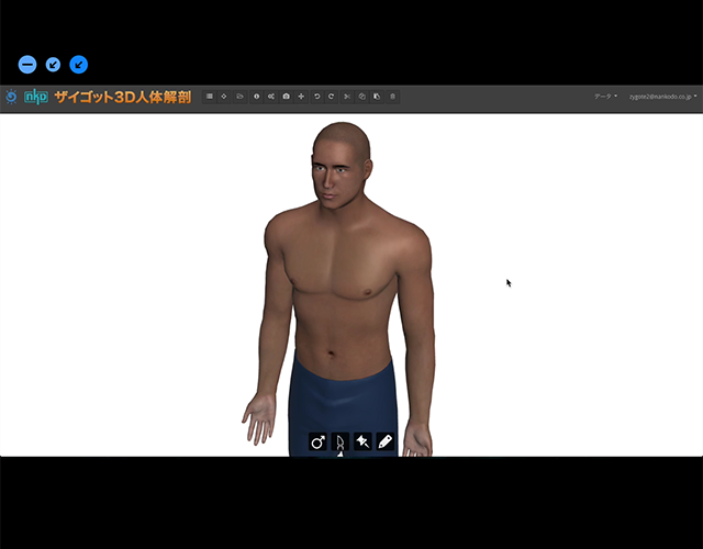 動画